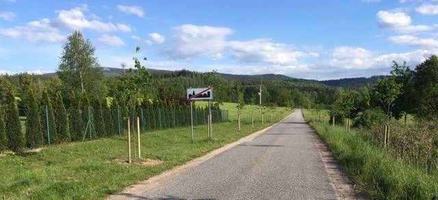 Mysłakowice: Ćwierć miliona na pielęgnację zieleni