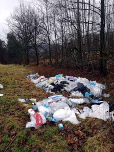 Trzcińsko: Dzikie wysypisko w Jasiowej Dolinie