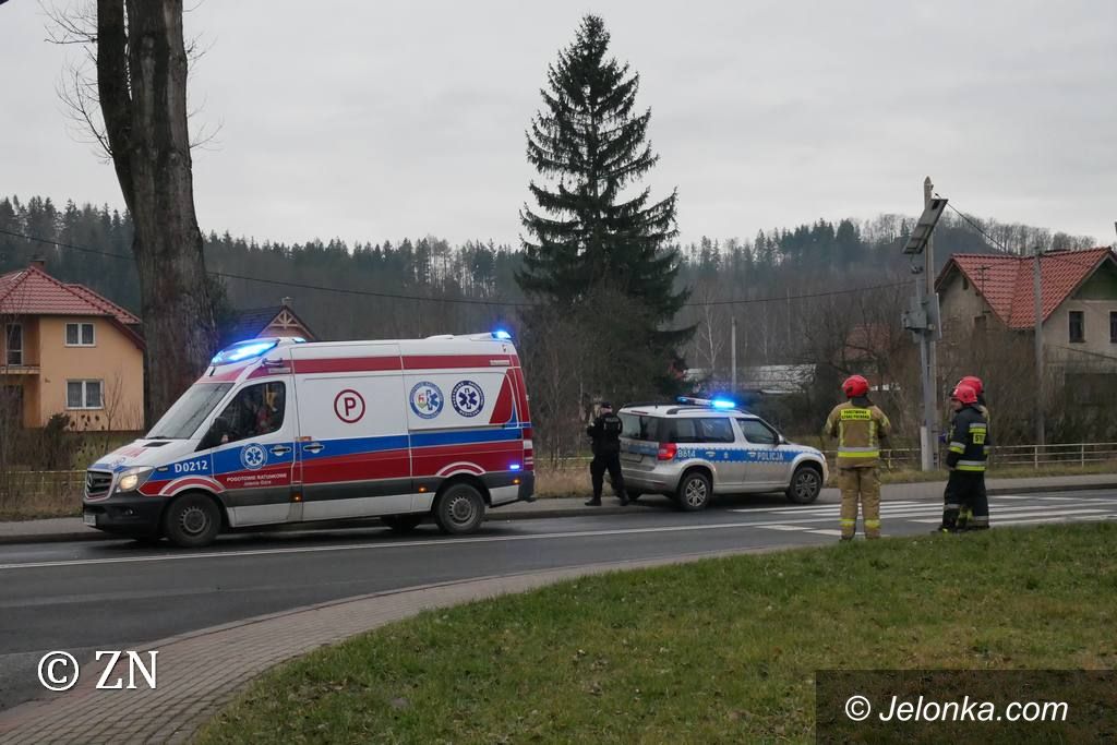 Jelenia Góra: Wjechał w drzewo