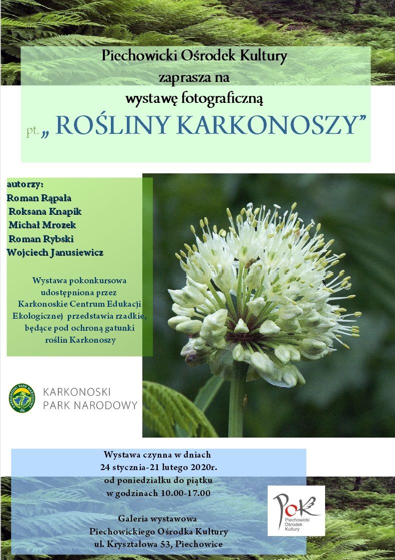 Piechowice: Unikatowa wystawa zdjęć karkonoskich roślin
