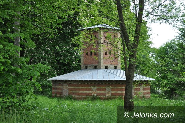 Region: Dolnośląskie gołębniki