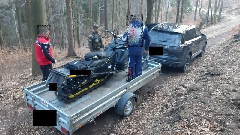 Region: Na pomoc przyrodzie