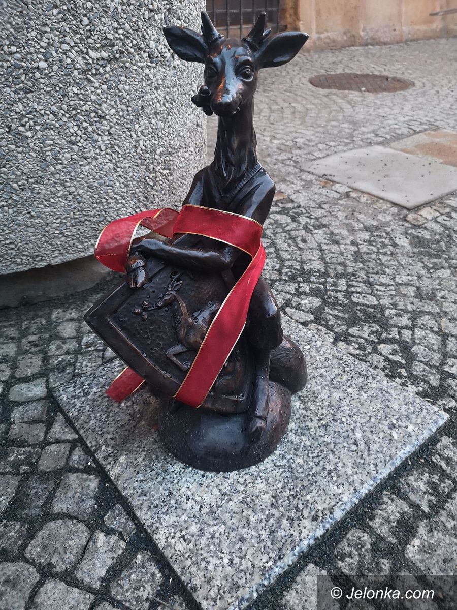 Jelenia Góra: Rajcuś pod Ratuszem