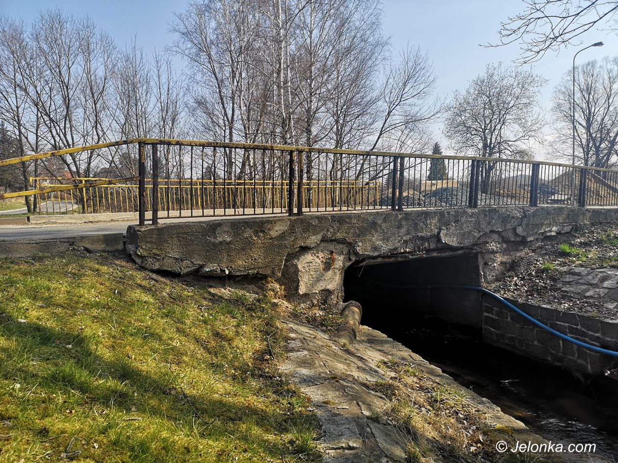 Jelenia Góra: Jest w czym wybierać