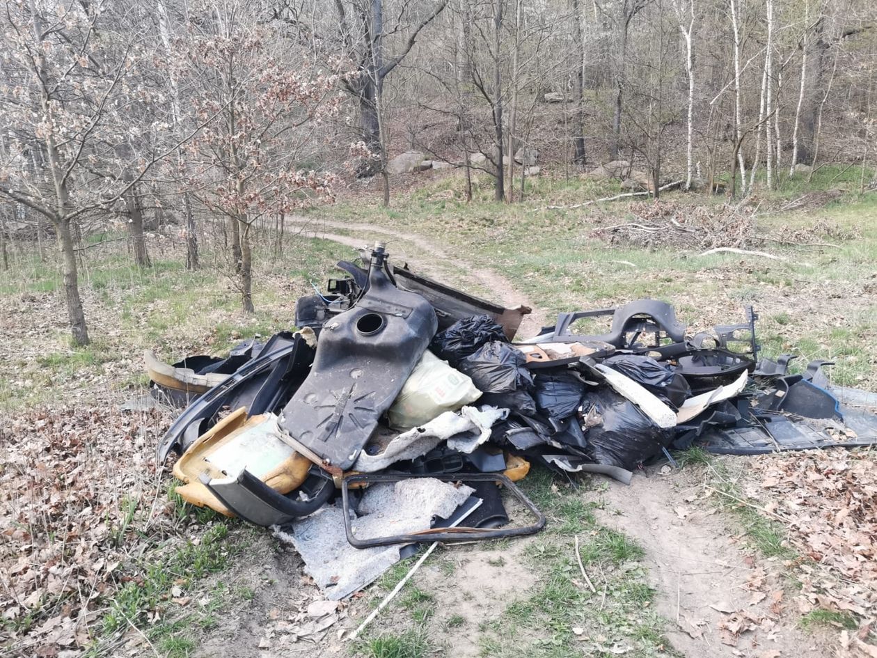 Jelenia Góra: Bałaganiarzy nie brak