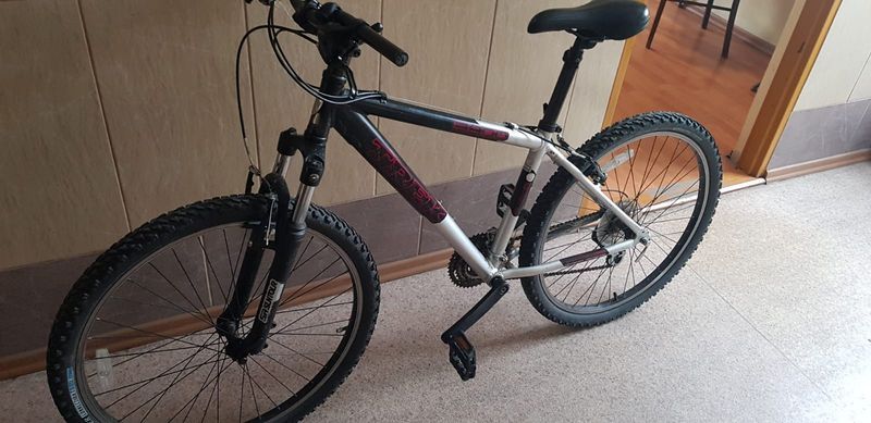 Jelenia Góra: Za kradzieże z włamaniem stanie przed sądem