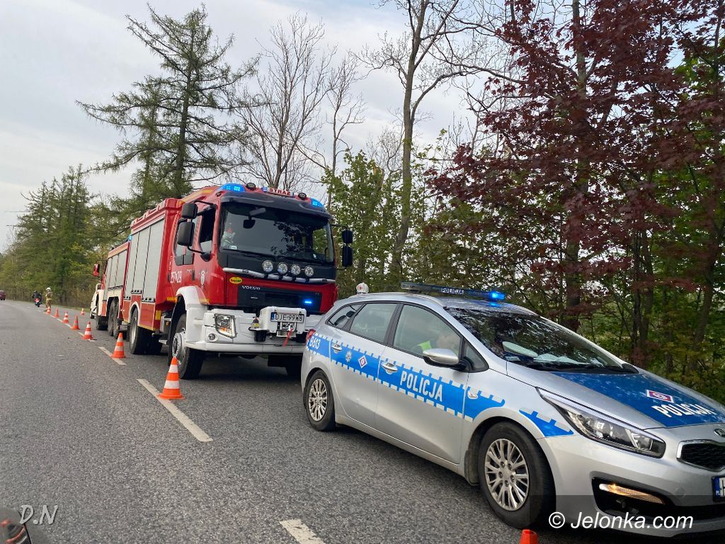 Miłków-Karpacz: Wjechał bmw w zarośla