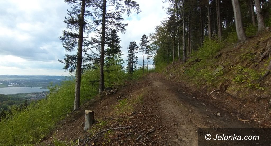 Region: Rowerowa wyprawa po Pogórzu Karkonoskim