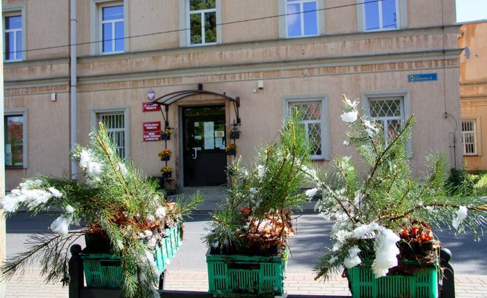 Podgórzyn: Kosodrzewina na podgórzyńskie skwery