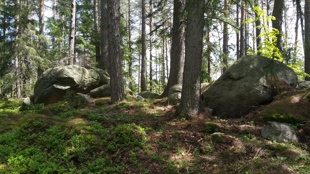 Region: Szlakiem Siedmiu Wzgórz