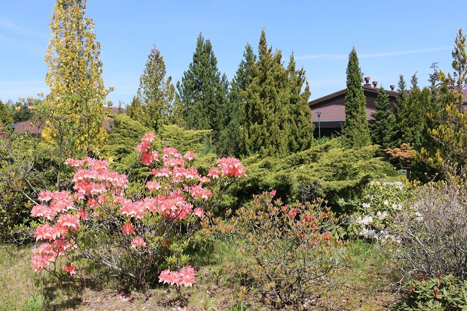 Miłków: Arboretum zaprasza