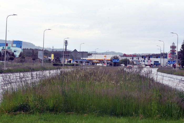Jelenia Góra: Kosić czy nie kosić?