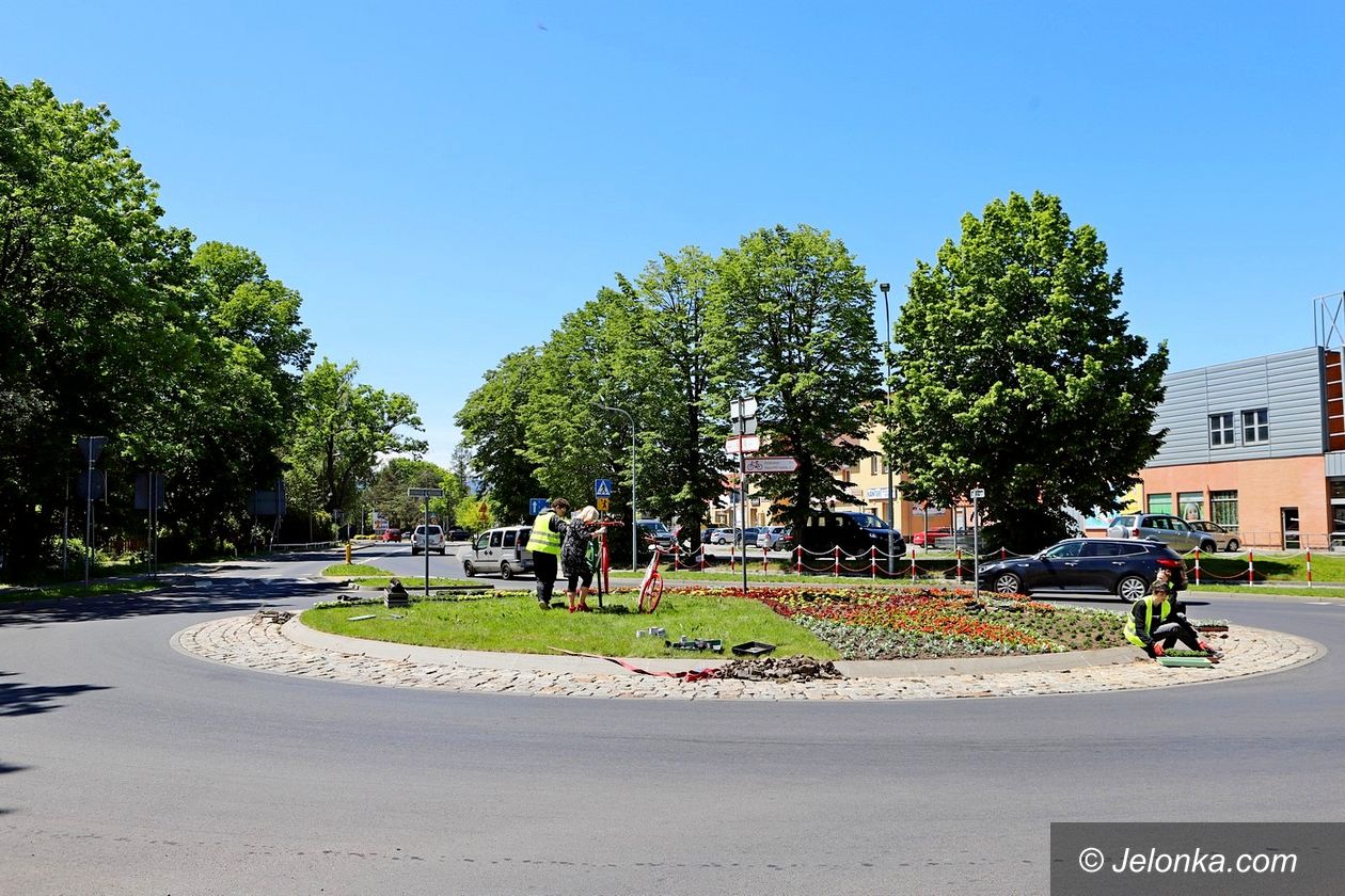 Jelenia Góra: Ozdobili rondo na znak partnerstwa z Cervią