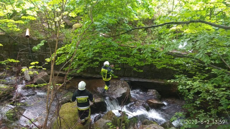 Jelenia Góra: Uratowali sarnę