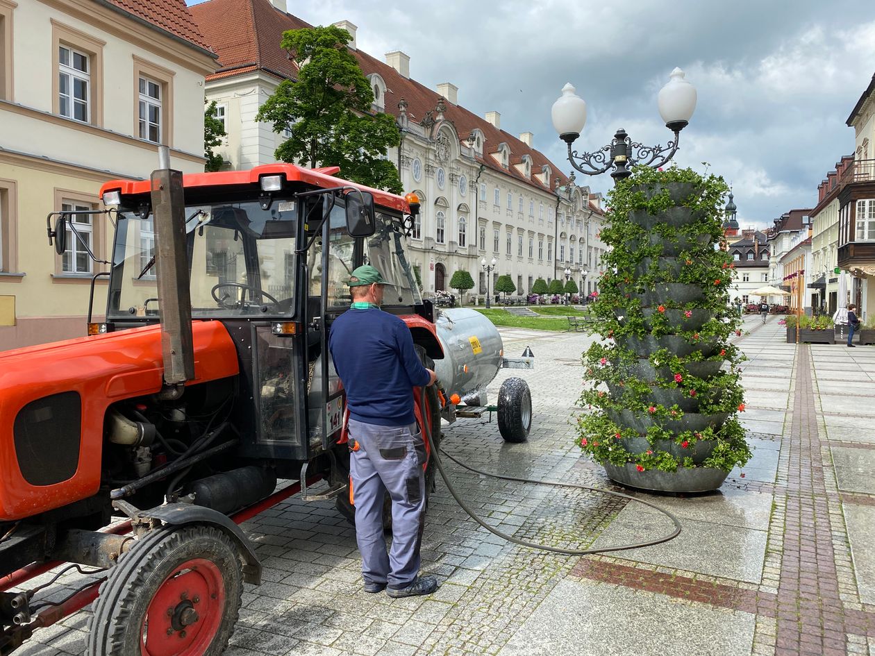 Jelenia Góra: Kwietna druga tura