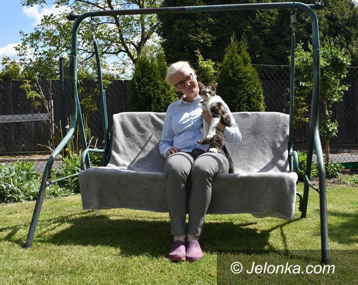 Jelenia Góra: Azyl dla skrzywdzonych kotów