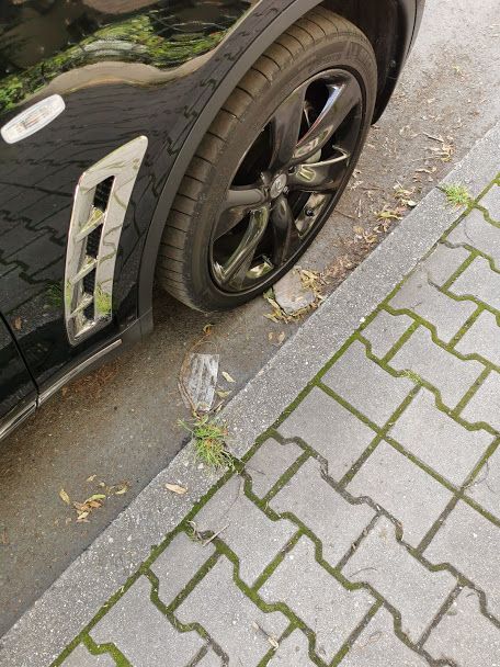Jelenia Góra: Trzeba posprzątać
