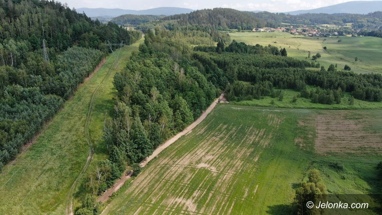 Jelenia Góra: Droga rowerowa w budowie