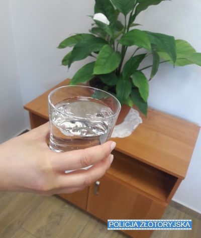 Złotoryja: Zuchwała kradzież