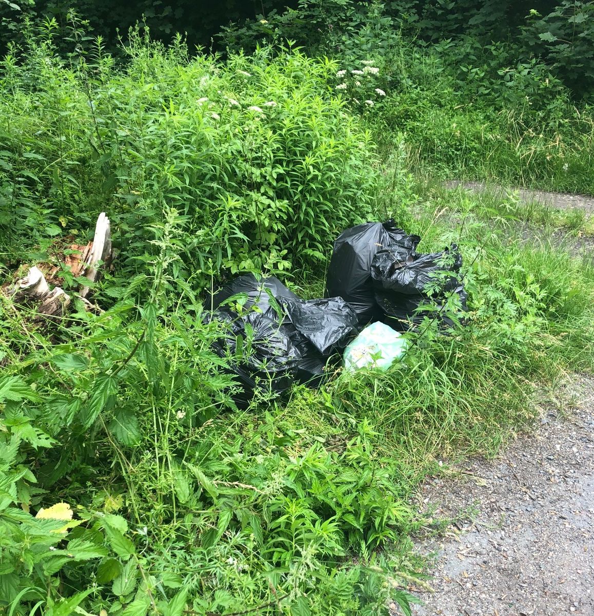 Janowice Wielkie: PSZOK tylko bez zaległości