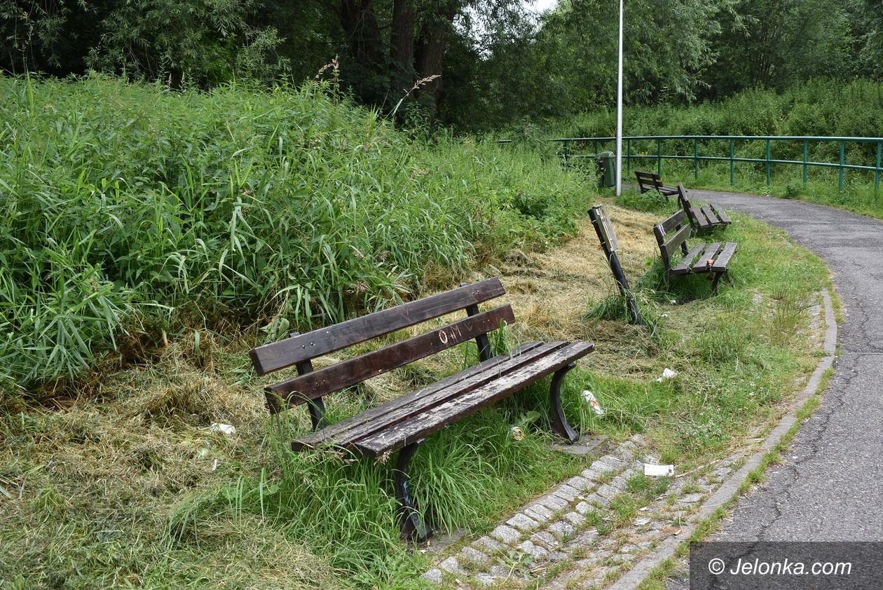 Jelenia Góra: Śmieci przy ścieżce na Perłę Zachodu