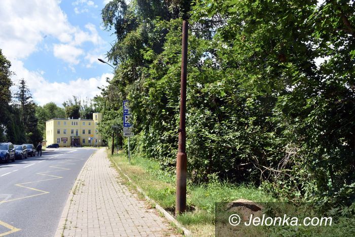 Jelenia Góra: Kiedy wymienią latarnie?