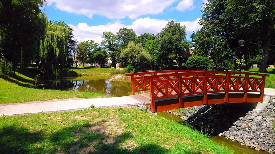 Lwówek Śląski: Pięknieje lwówecki park miejski