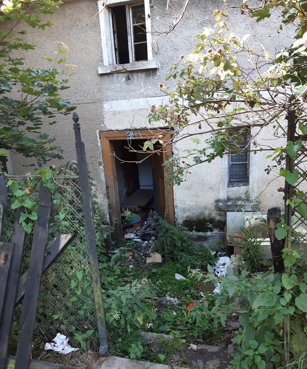Janowice Wielkie: Obrońcy zwierząt kontra janowicki magistrat