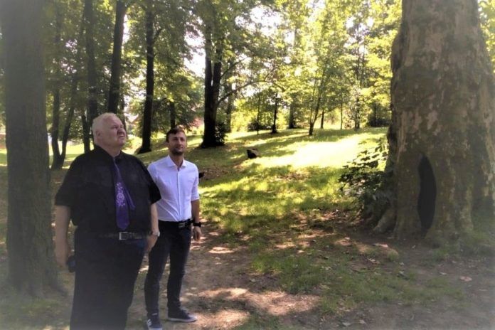 Gryfów Śląski: Współpraca Gryfowa Śląskiego i Norwegii