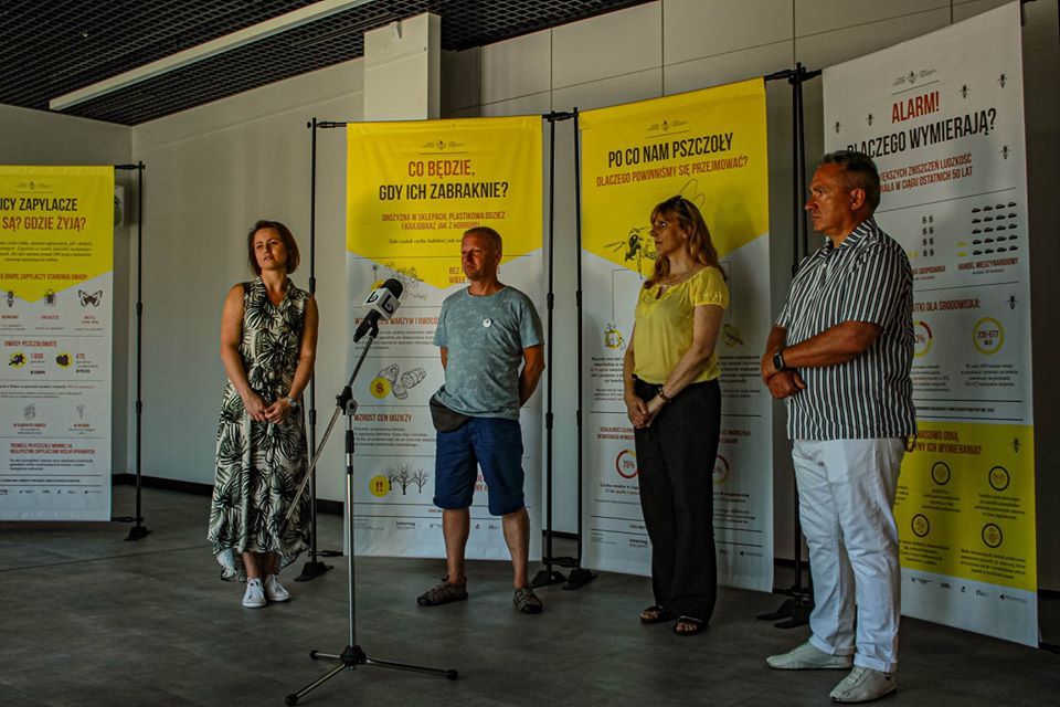 Bolesławiec: Rój wiedzy