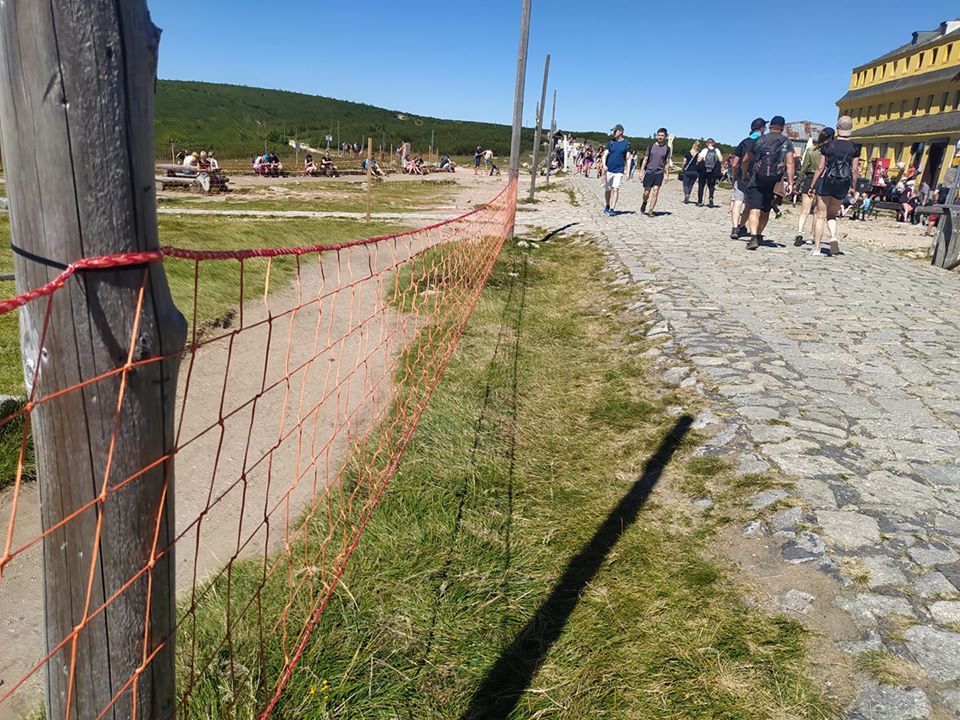 Karkonosze: Siatki mają chronić karkonoskie murawy