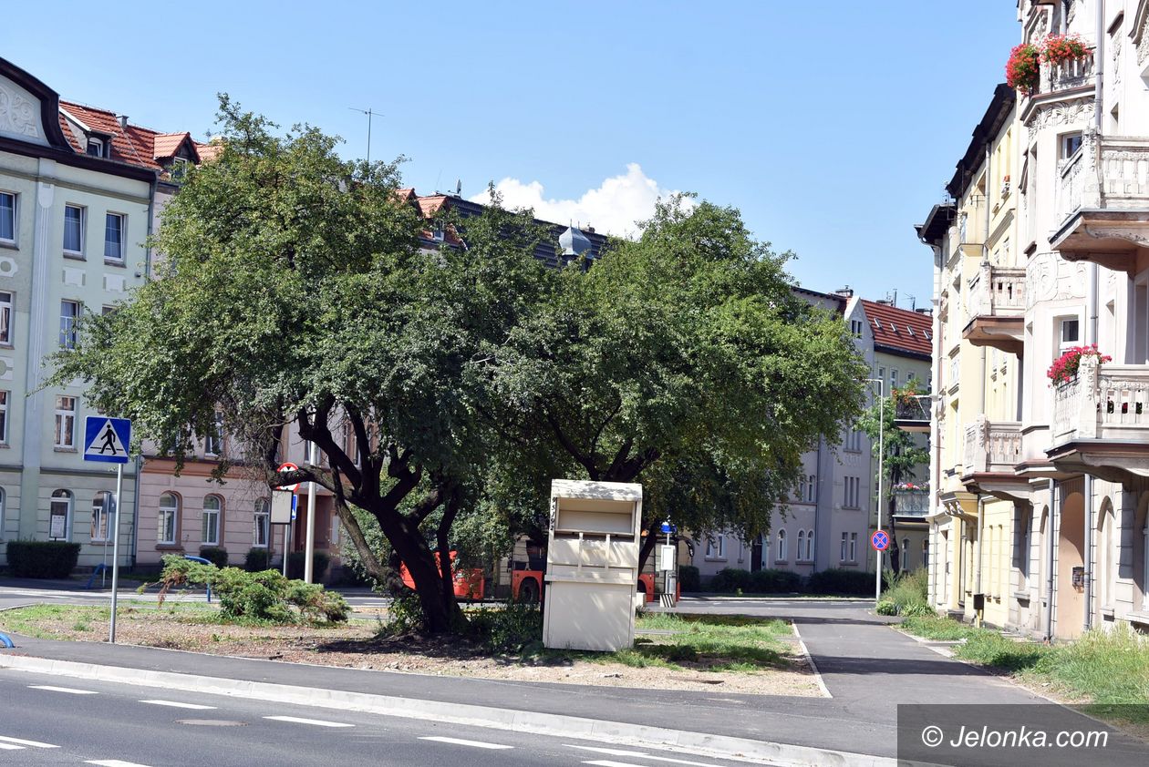 Jelenia Góra: Mieszkańcy chcą miododajnego skweru