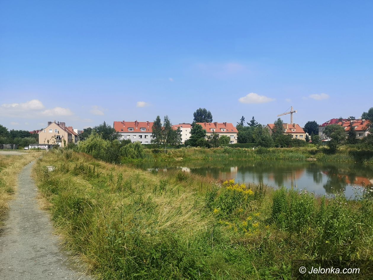 Jelenia Góra: Szybko zapomniany staw?