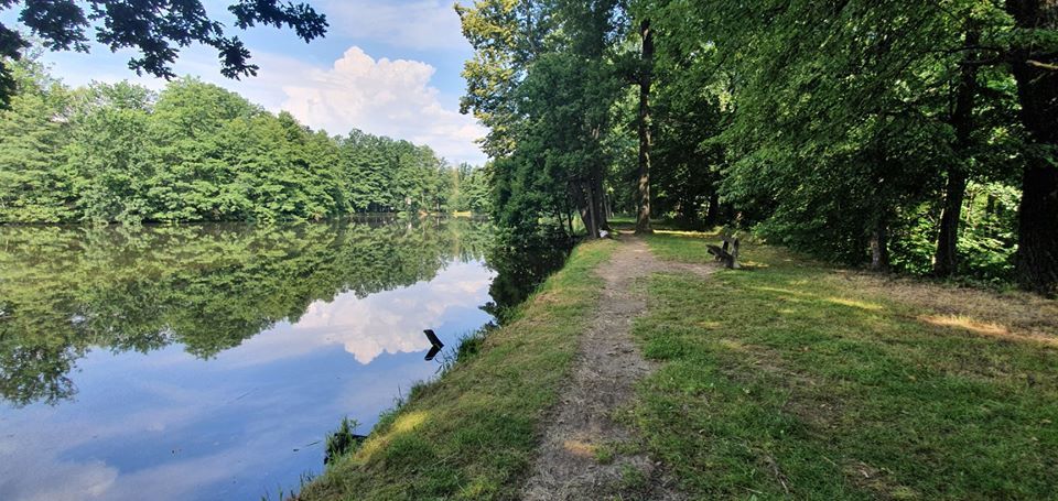 Mysłakowice: Trwają porządki w Mysłakowicach