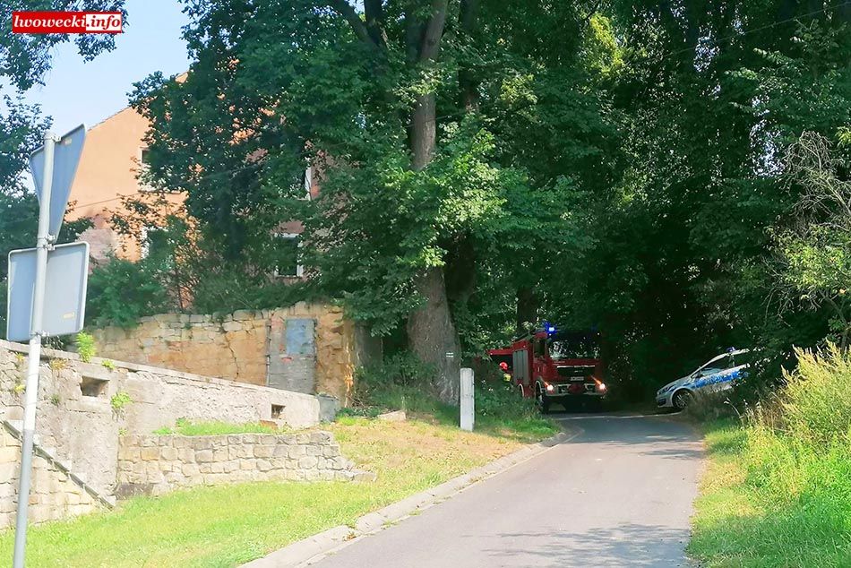 Skała k. Lwówka Śląskiego: Ratowali desperatkę