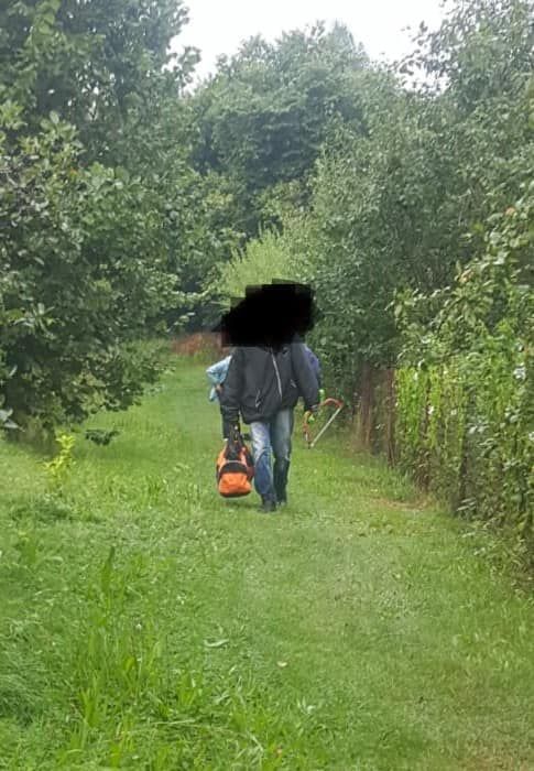 Jelenia Góra: Kradzieże na działkach