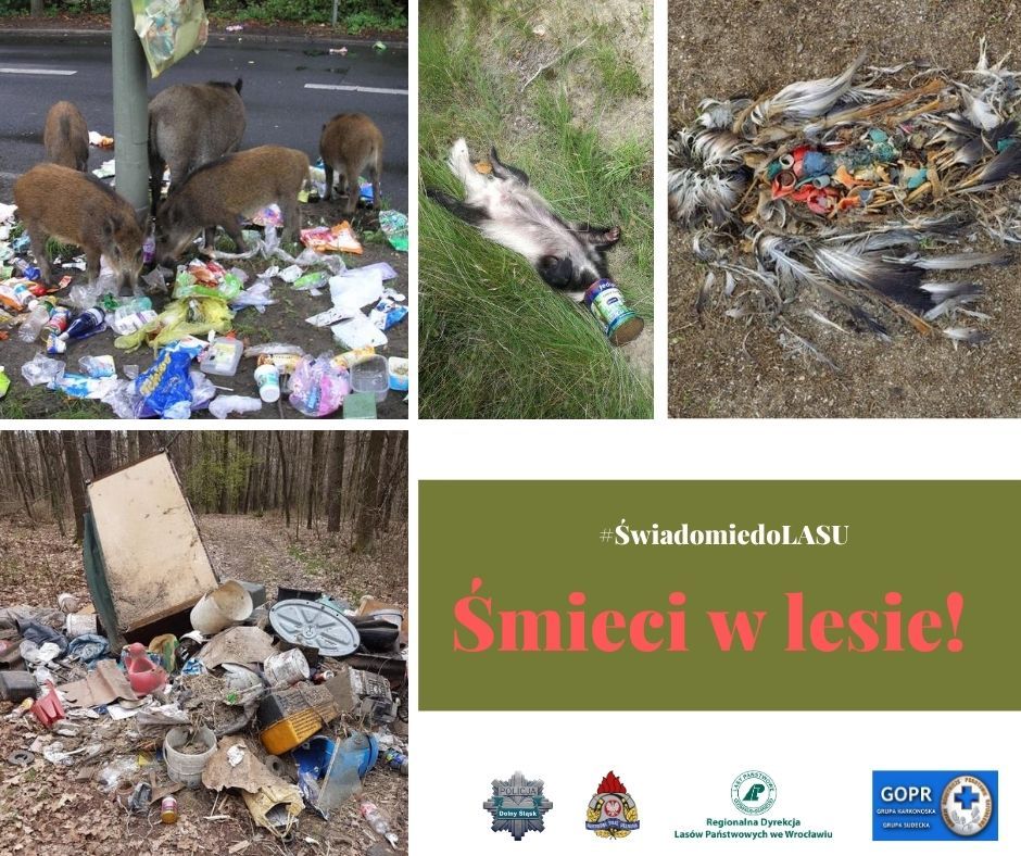 Region: Śmieci i wandale atakują lasy