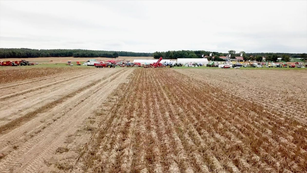Jelenia Góra: Potato Poland, czyli Krajowe Dni Ziemniaka