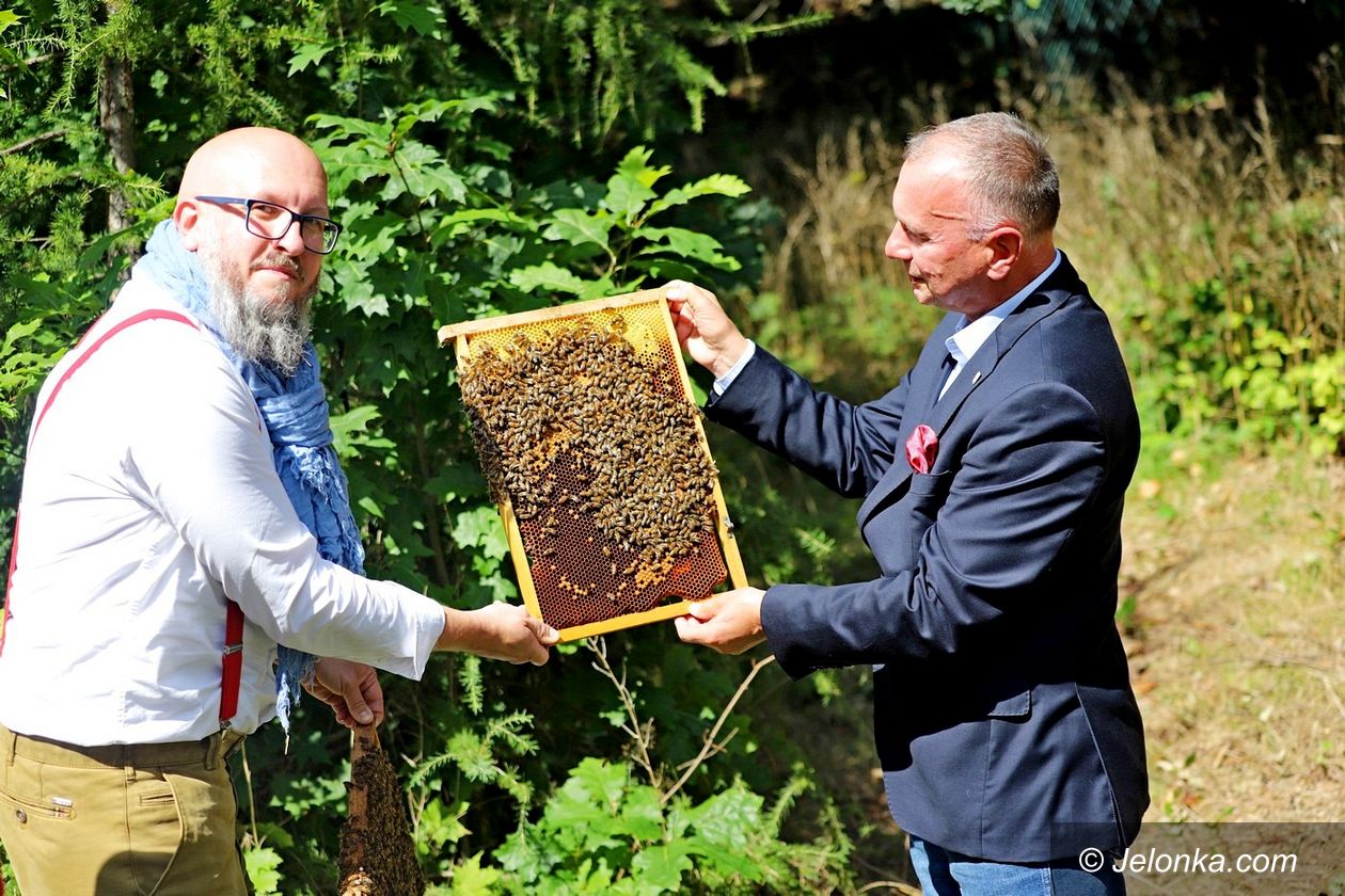 Jelenia Góra: Powstała miejska pasieka