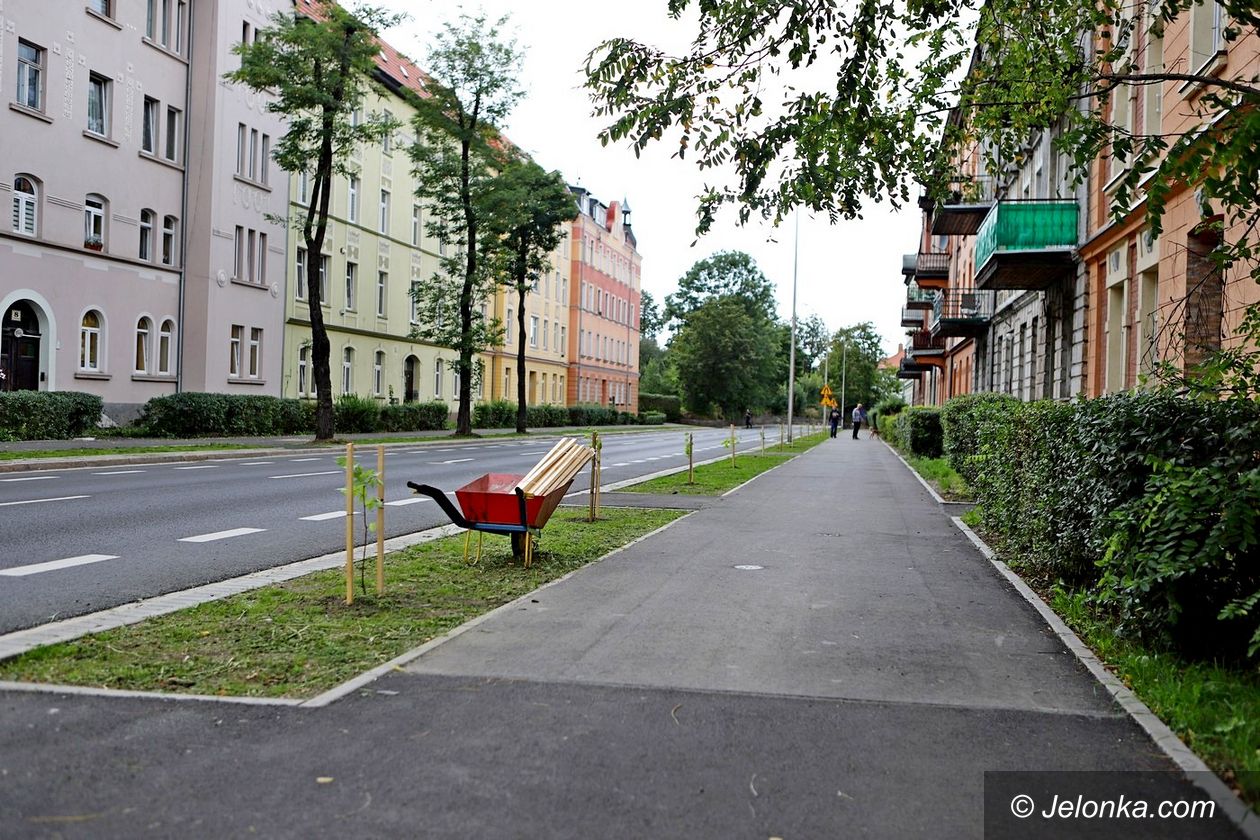 Jelenia Góra: Społecznie tworzy aleję lipową i łąki kwietne