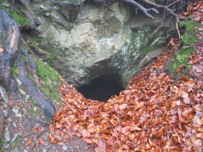 Ciechanowice: Wandale kontra naukowcy