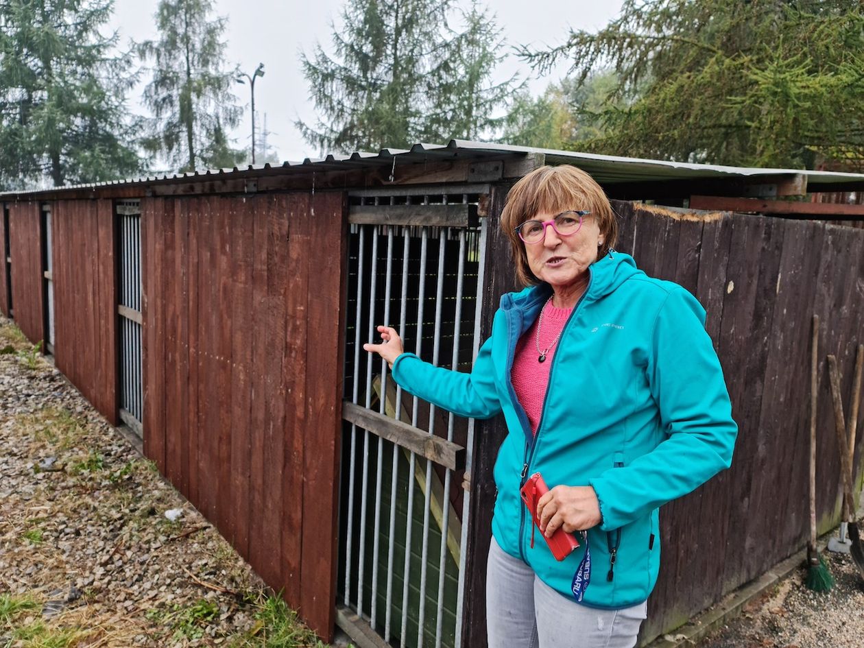 Jelenia Góra: Przygotowania do chłodów