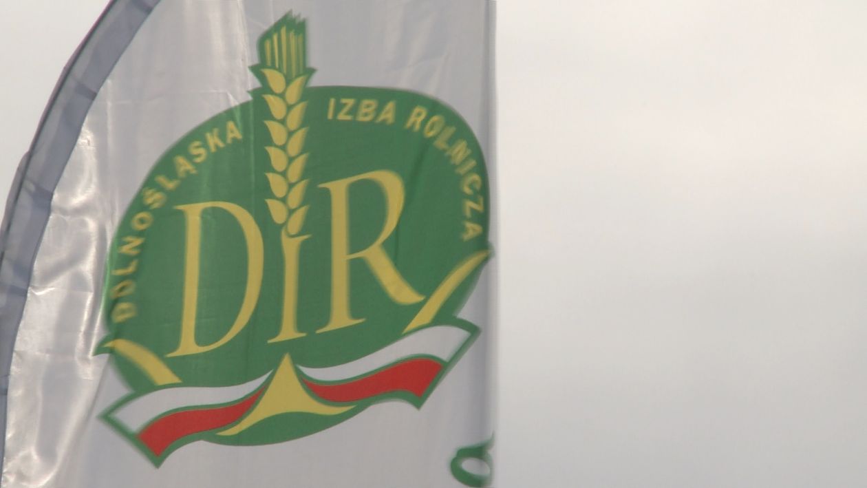 Jelenia Góra: Dolnośląskie Święto Zbóż