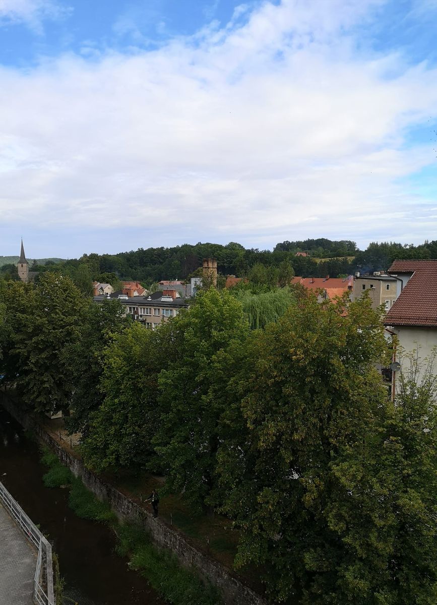 Świerzawa: Wykup z bonifikatą