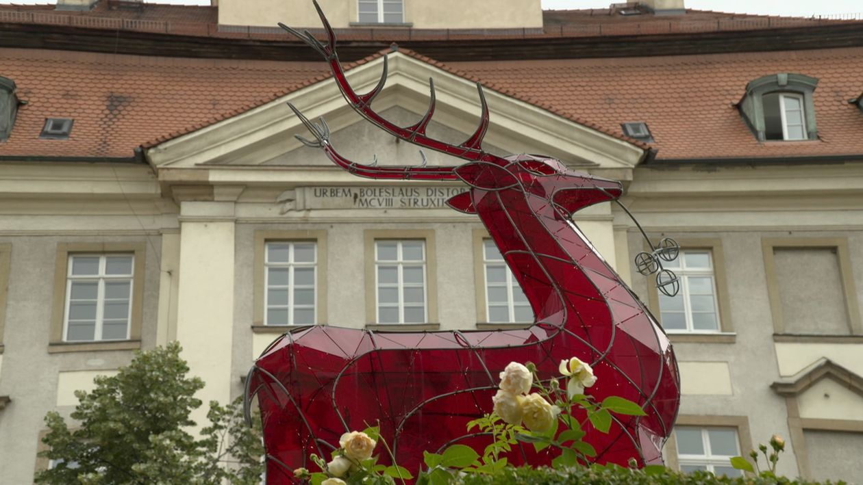 Jelenia Góra: Niepubliczne przedszkola staną się publiczne