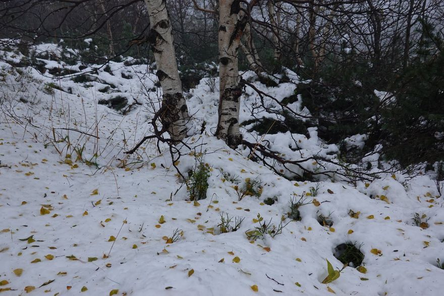 Karkonosze: Ślisko na szlakach