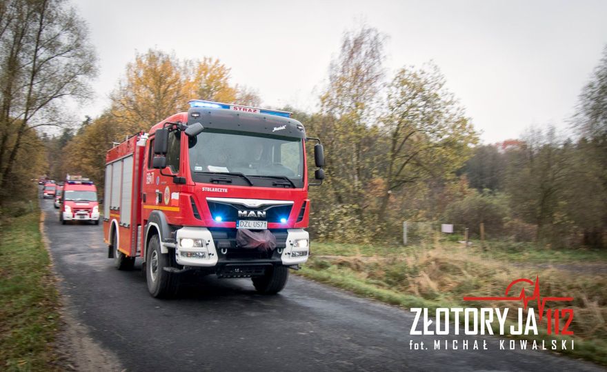 Gmina Zagrodno: Świąteczna defilada