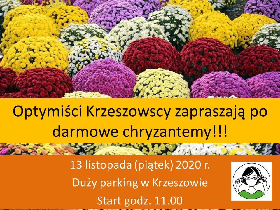 Krzeszów: Kwiaty w prezencie