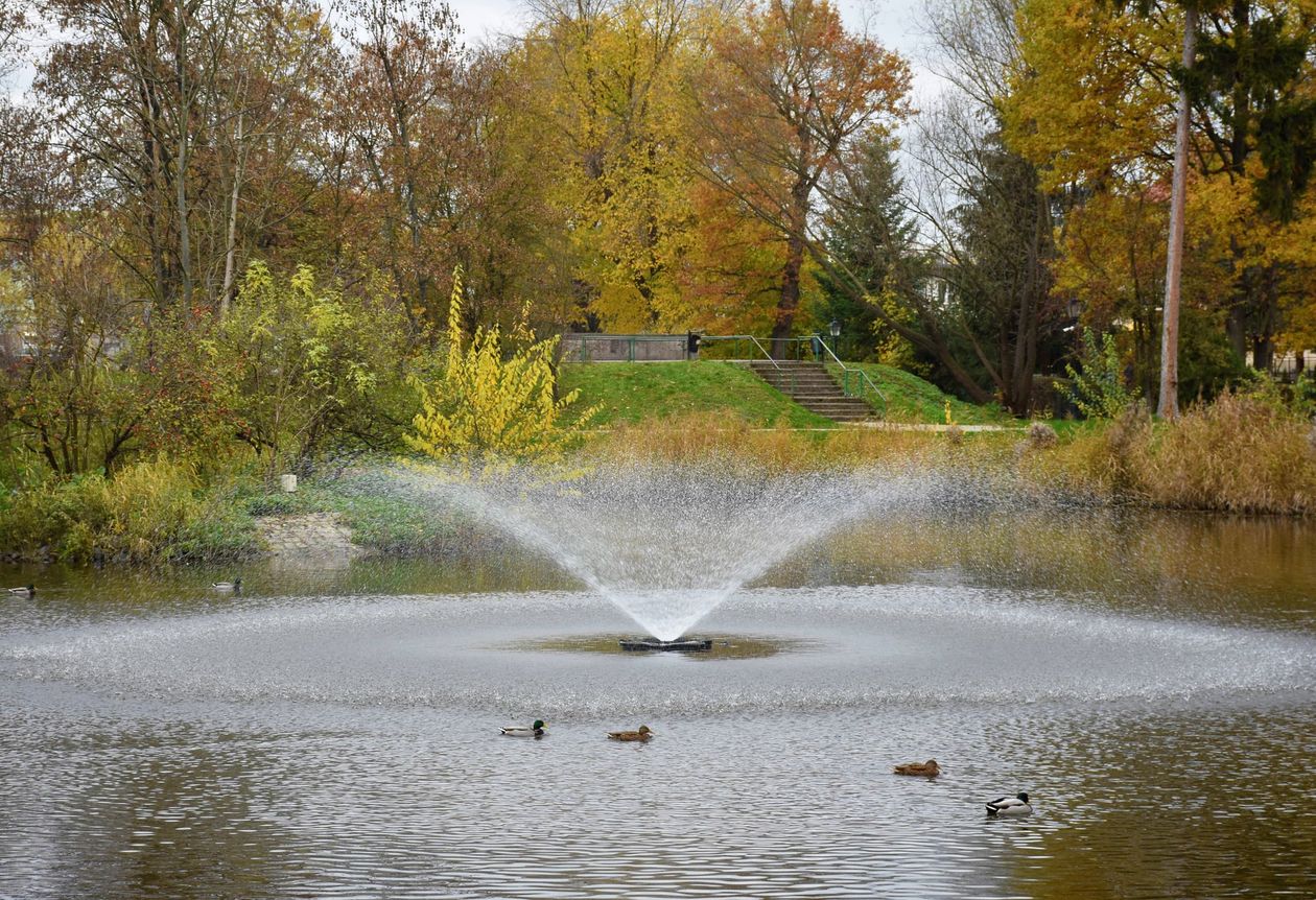 Lwówek Śląski: Park odzyskuje blask