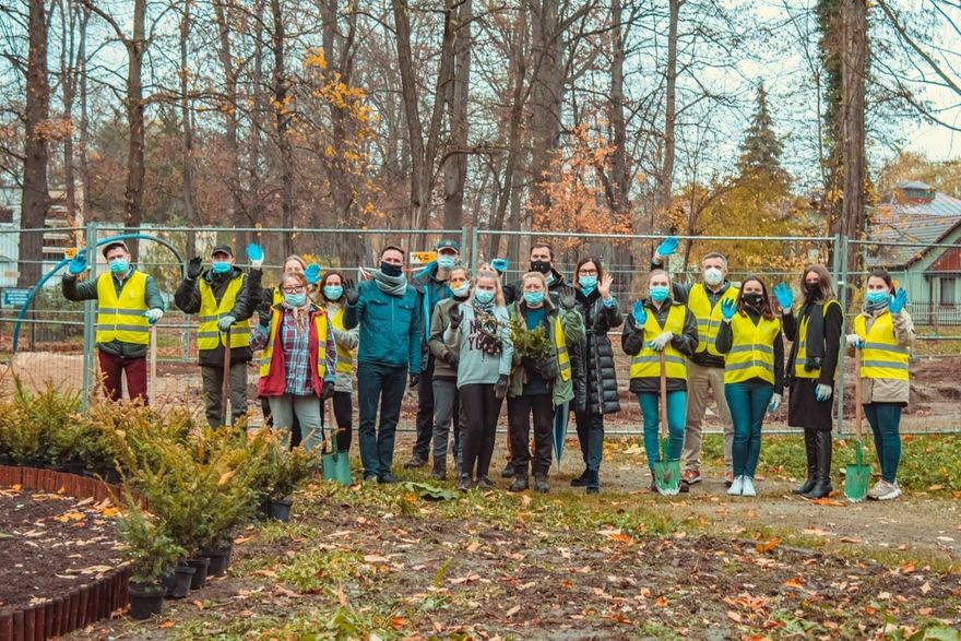 Jawor: Rośliny upiększą park